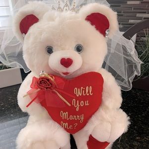 “Will you Marry Me?” Proposal Teddy Bear